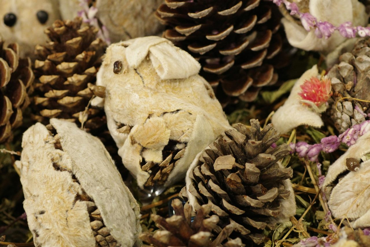 Choisir des Ingrédients de Soins selon les Saisons